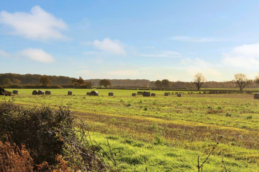 Wheldrake, Main Street Graham John